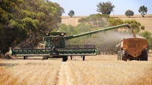 Australia’s Record Grain Harvest Leads to Strong Demand for Export Services: Report