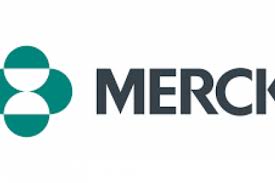 Merck’s COVID-19 Drug Fails to Show ‘Statistically Significant Reduction’ in Infection Risk